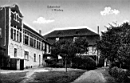 0240.jpg: Schwiebus i. Weinberg; *1910; db-, kol; 